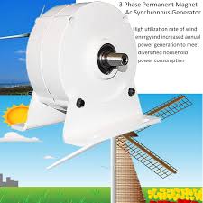 Permanent Magnet Generator 500W/600W/800W voor Wind- en Waterturbines
